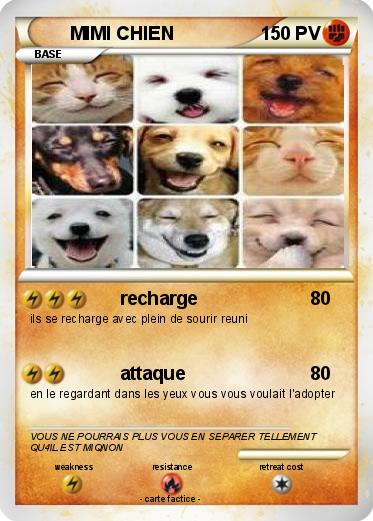 Pokemon MIMI CHIEN