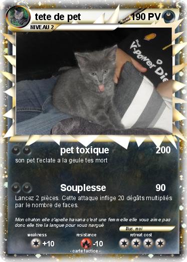 Pokemon tete de pet