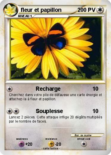Pokemon fleur et papillon