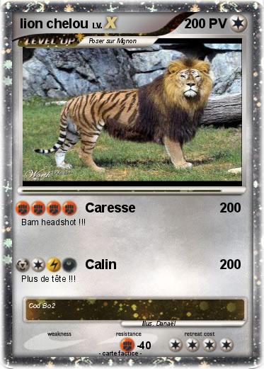 Pokemon lion chelou