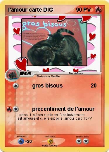Pokemon l'amour carte DIG