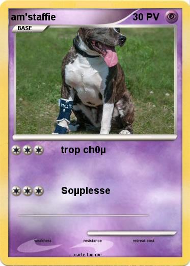 Pokemon am'staffie