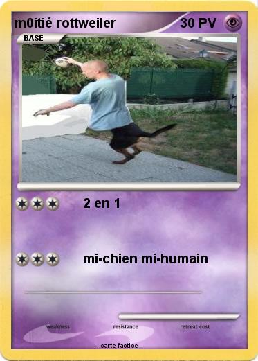 Pokemon m0itié rottweiler