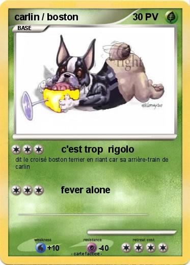Pokemon carlin / boston