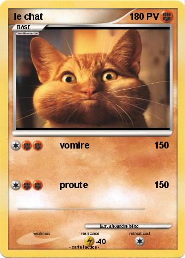Pokemon le chat