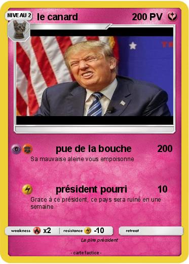 Pokemon le canard