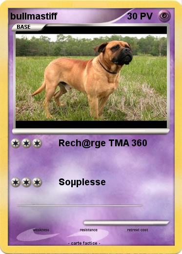 Pokemon bullmastiff