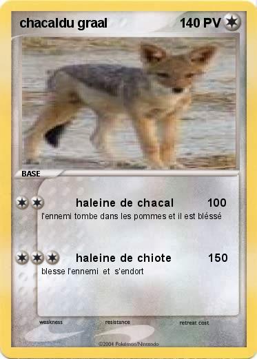 Pokemon chacaldu graal