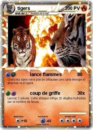 Pokemon tigers