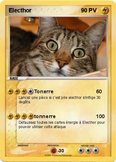 Pokemon Electhor