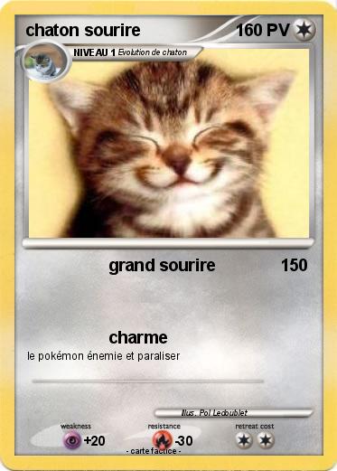 Pokemon chaton sourire