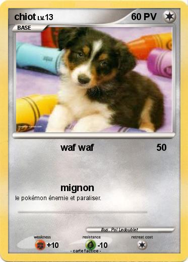 Pokemon chiot