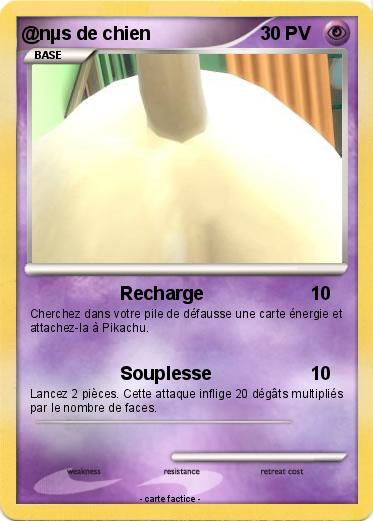 Pokemon @nµs de chien
