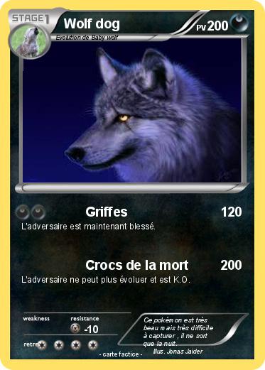 Pokemon Wolf dog