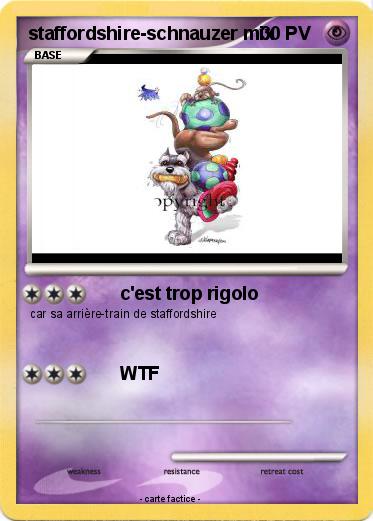 Pokemon staffordshire-schnauzer mix
