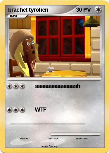 Pokemon brachet tyrolien