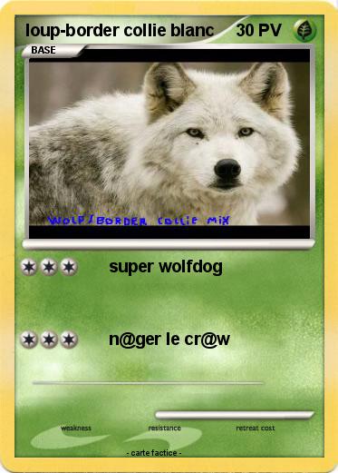 Pokemon loup-border collie blanc