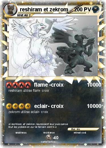Pokemon reshiram et zekrom