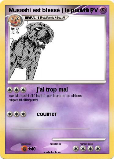 Pokemon Musashi est blessé ( le pauvre )