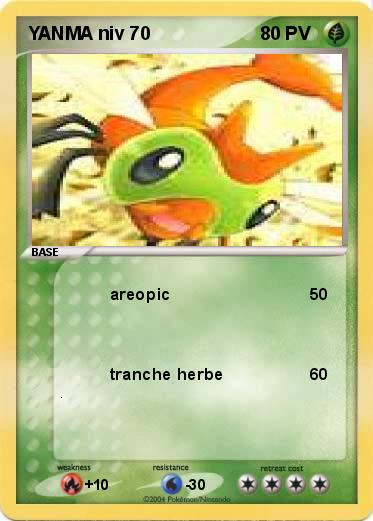 Pokemon YANMA niv 70