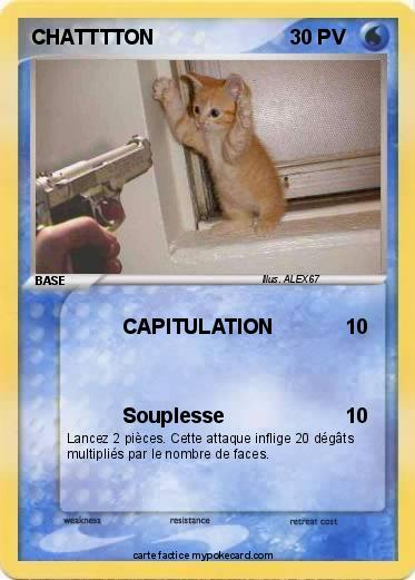 Pokemon CHATTTTON