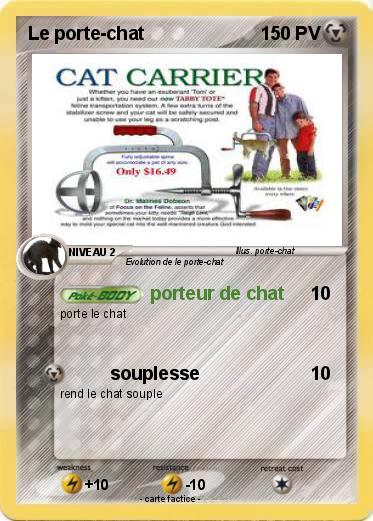 Pokemon Le porte-chat