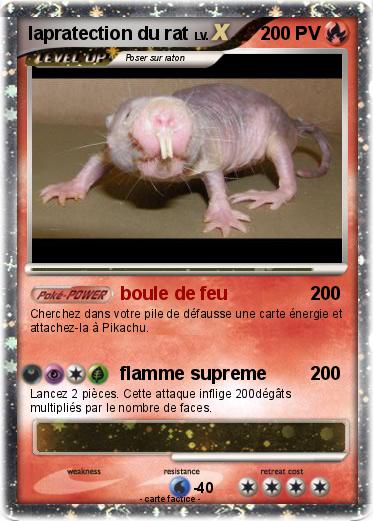 Pokemon lapratection du rat