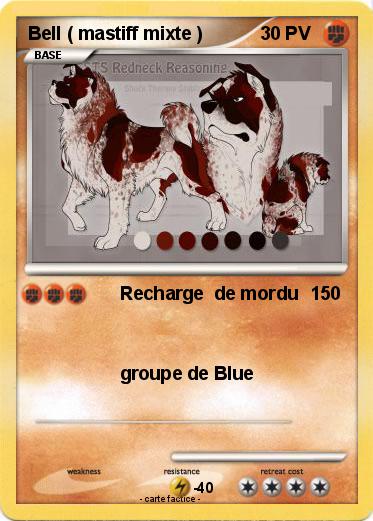 Pokemon Bell ( mastiff mixte )