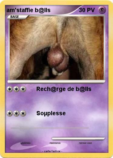 Pokemon am'staffie b@lls