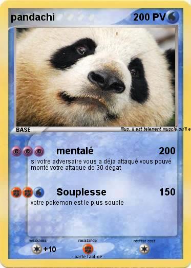 Pokemon pandachi