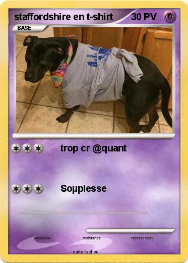 Pokemon staffordshire en t-shirt