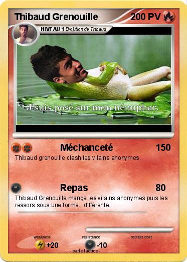 Pokemon Thibaud Grenouille