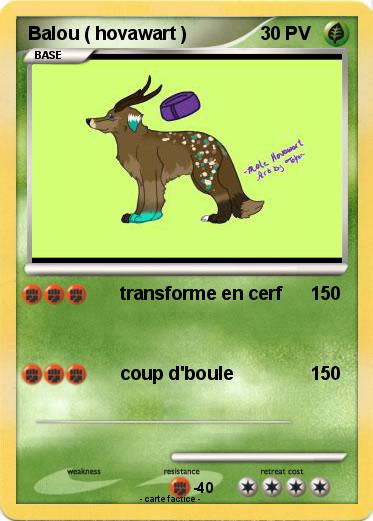 Pokemon Balou ( hovawart )