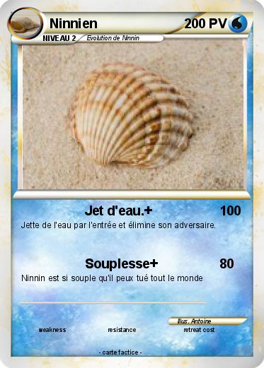 Pokemon Ninnien