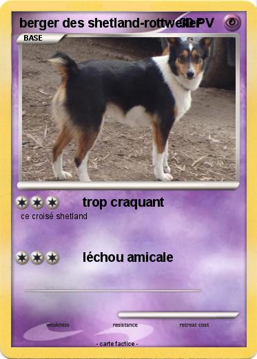 Pokemon berger des shetland-rottweiler
