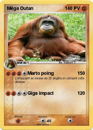 Pokemon Méga Outan