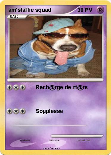 Pokemon am'staffie squad