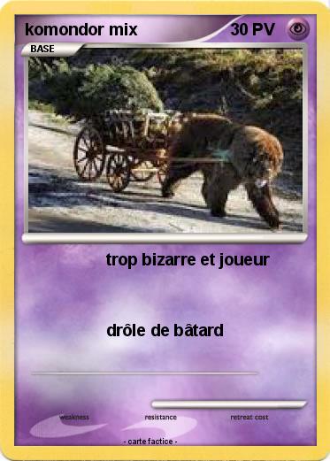 Pokemon komondor mix