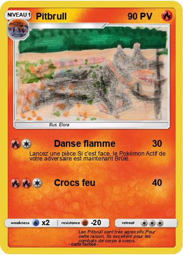 Pokemon Pitbrull