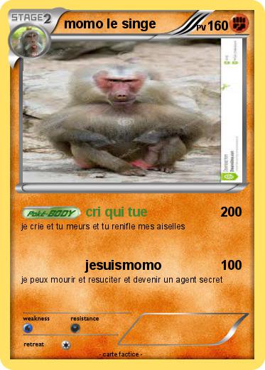 Pokemon momo le singe