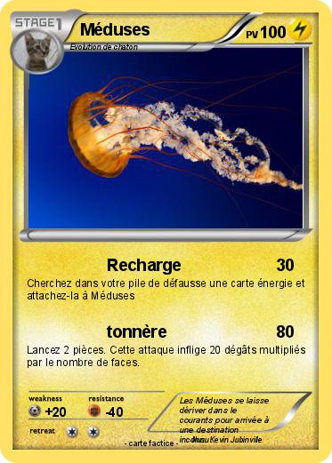 Pokemon Méduses