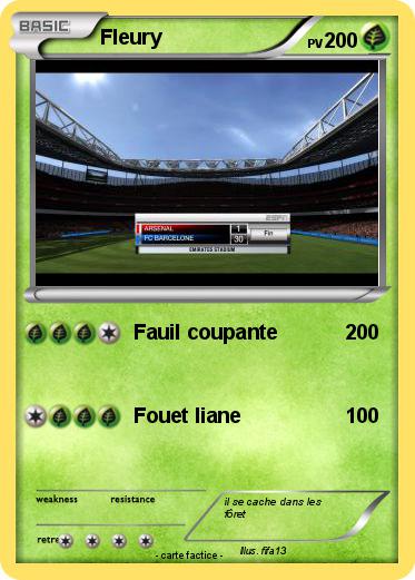 Pokemon Fleury