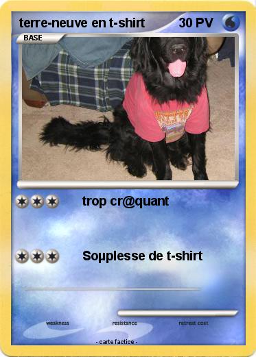 Pokemon terre-neuve en t-shirt