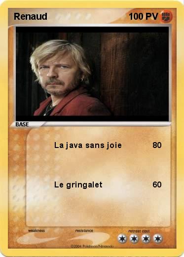 Pokemon Renaud 