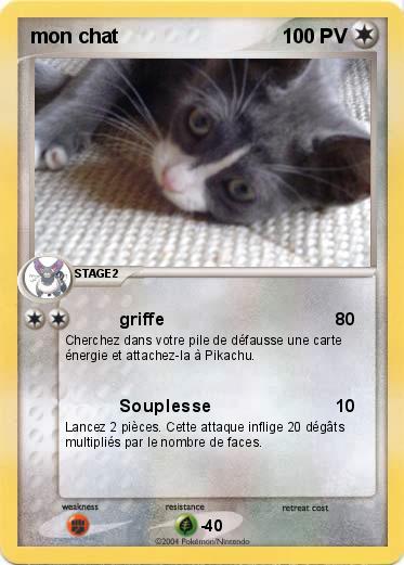Pokemon mon chat