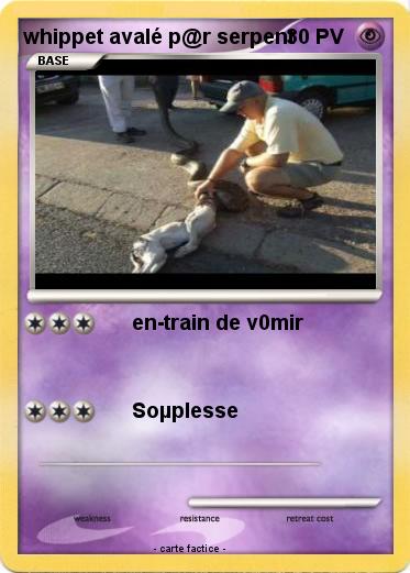Pokemon whippet avalé p@r serpent