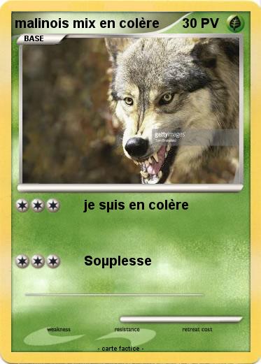 Pokemon malinois mix en colère