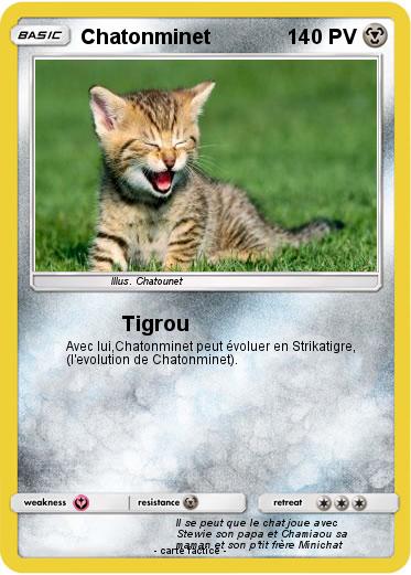 Pokemon Chatonminet