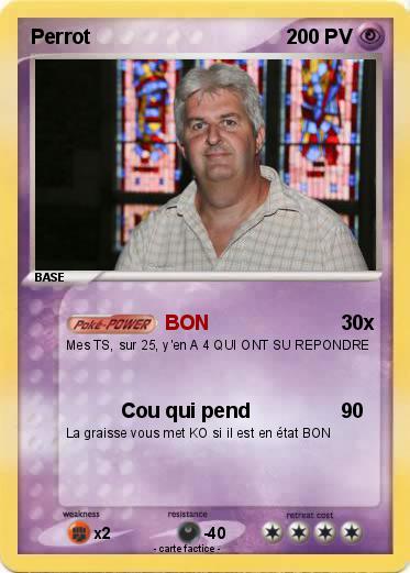 Pokemon Perrot