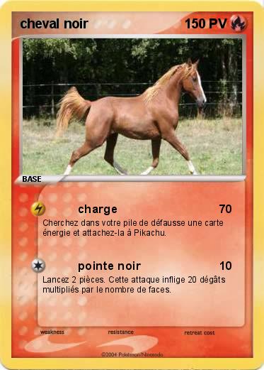 Pokemon cheval noir